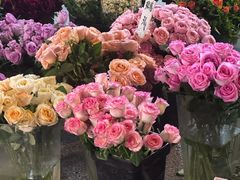 -循礼门鲜花花市(武汉循礼门店)