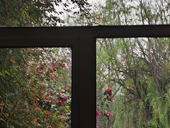 -云想 广式茶餐厅