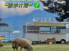 -花海间·即刻露营