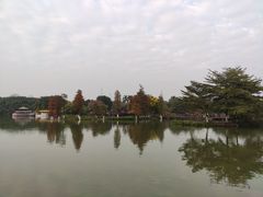 -海珠湖公园