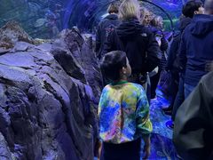 -悉尼海洋生物水族馆