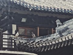 -真如寺