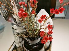 -阿妮叶李(光谷世界城店)