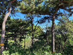 -北京西山国家森林公园