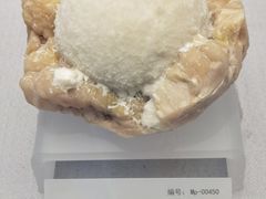 -湖南省地质博物馆