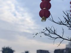 -石炮台公园