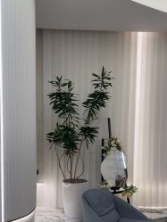 -杭州奥拉克医疗美容门诊部
