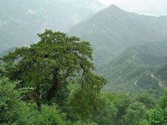 -终南山国家森林公园