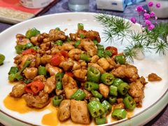 -丁老爷子苏香圆