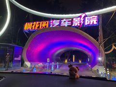 -枫花园汽车电影院(朝阳公园店)