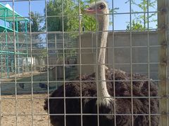 -意大利农场度假村