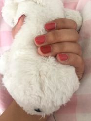 -Seven Nail七姑娘の美甲店