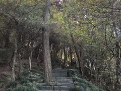 -梦姑塘文化公园