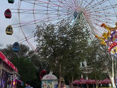 -茶芭蕾·新疆酸奶(美美1店)