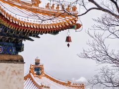 -颐和园