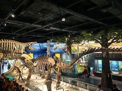 -国家自然博物馆