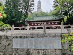 -榴花公园