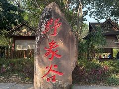 -野象谷景区