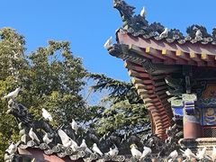 -天龙宝严素食馆(大兴善寺店)