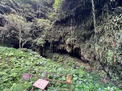 -海口火山口国家地质公园