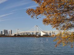 -台场海滨公园船码头