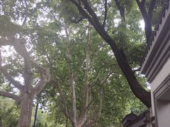 -杭州萧山国际机场