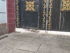 -张乐平故居