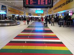 -奥利弗·雷金纳德·坦博国际机场