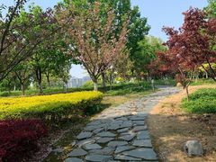 -白塘生态植物园