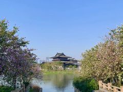 -海珠湖公园
