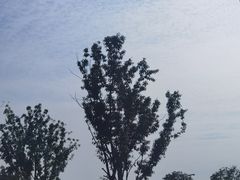 -星巴克(成都科学城店)