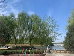 -大兴滨河森林公园