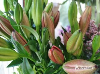 偶然间从这里路过，看到了这家店就去进去了 里面的花种