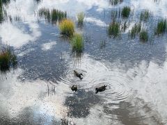-花湖生态旅游区