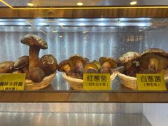 -菌海森林·非遗野生菌火锅(西山区滇池路摩根道店)