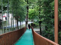 -莫干山风景区