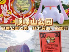 -顺峰山公园
