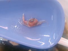 -都谷包子(天一广场店)