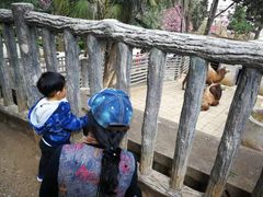 -昆明动物园