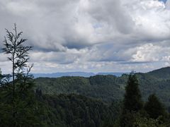 -武陵山森林公园
