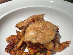 -南堂馆·新川菜(春熙路店)