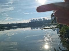 -洛龙公园