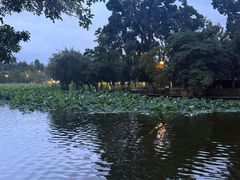 -翠湖宾馆·中餐厅
