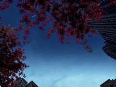 -春申里餐厅(银泰in99店)