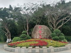 -野狸岛