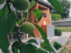 -春风习习