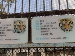 -昆明动物园
