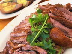 -乌文新澄海卤鹅店