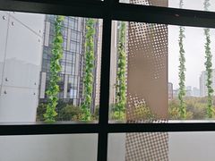 -西贝(武汉天地店)