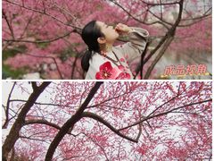 -重庆彩云湖湿地公园